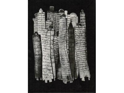 Fazal Sheikh : A camel for the son