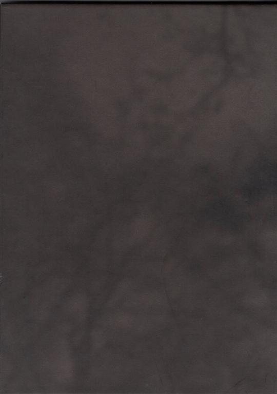 Fazal Sheikh : Ramadan Moon