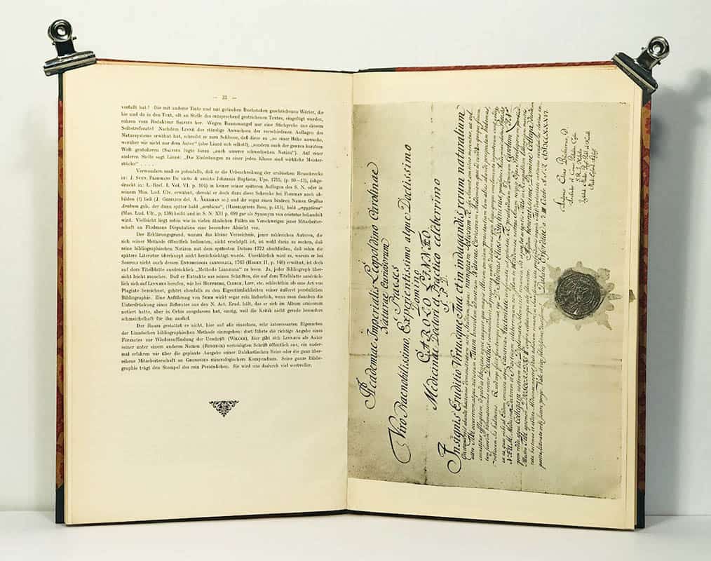 Felix Bryk : Linnæus im Auslande. Linnés gesammelte Jugendschriften autobiographischen Inhaltes aus den Jahren 1732-1738. Nachtrag herausgegeben von Felix Bryk