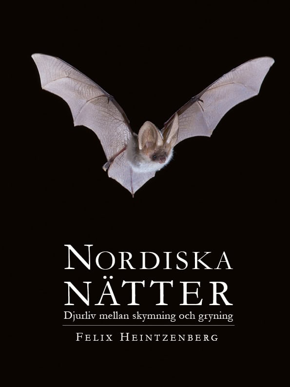 Felix Heintzenberg : Nordiska Nätter : djurliv mellan skymning och gryning