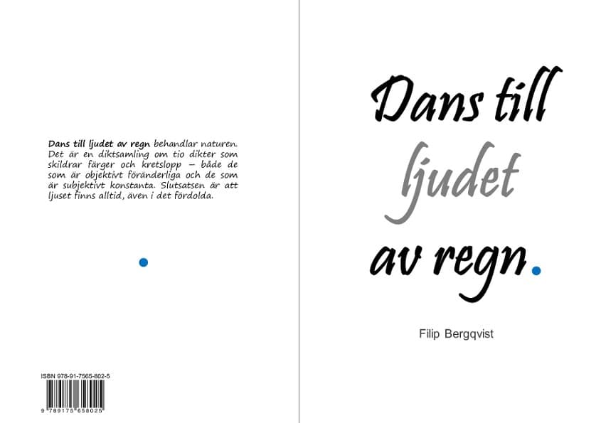 Filip Bergqvist : Dans till ljudet av regn