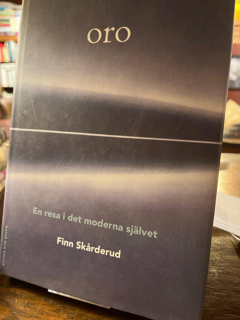 Finn Skårderud : Oro