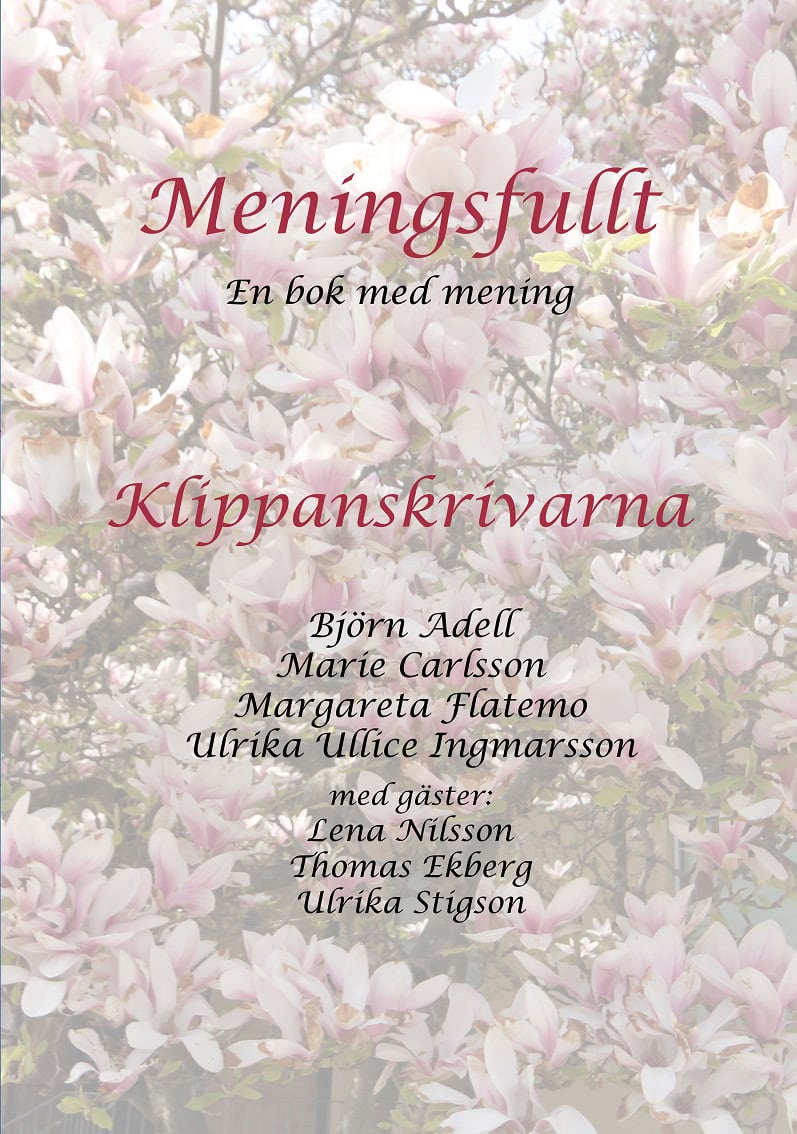 Flatemo, Margareta ; Adell, Björn ; Ingmarsson, Ulrika Ullice ; Carlsson, Marie : Meningsfullt