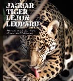 Fleischmann, Jan ; Veneke, Maria : Jaguar, tiger, lejon, leopard : möten med de fyra stora kattdjuren