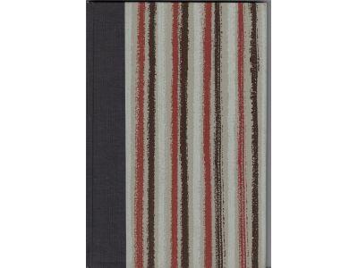 Frances Hubbard Flaherty : The odyssey of a film-maker