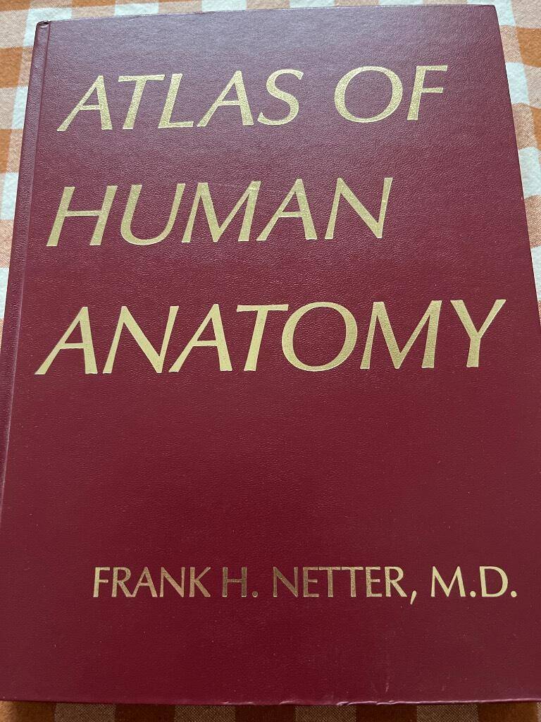 Frank H. Netter : Atlas of Human Anatomy
