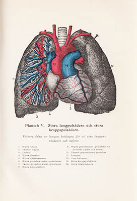 Frederick M. Rossiter : Handbok i hälsovård och sjukvård