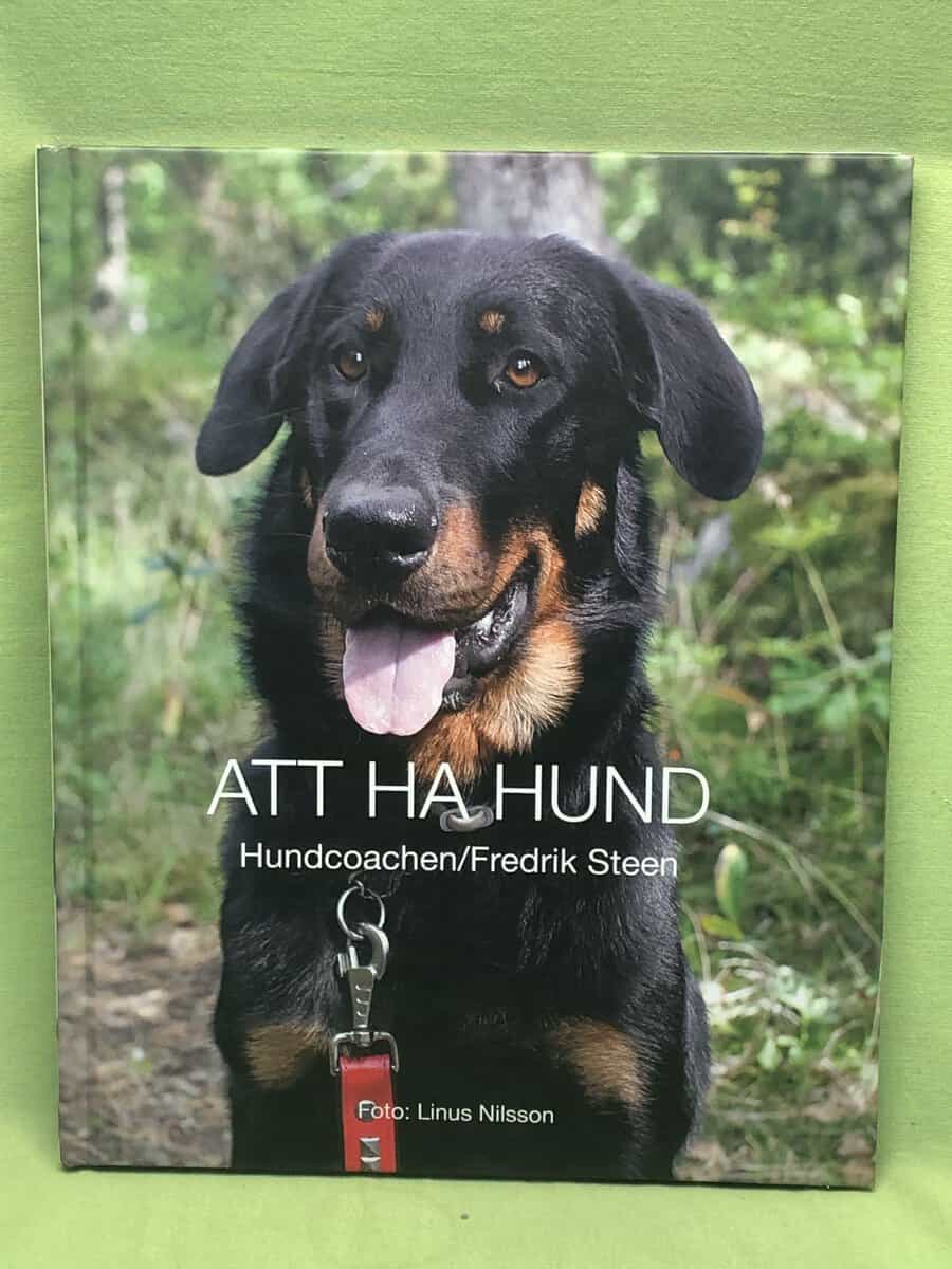 Fredrik Steen : Att ha hund