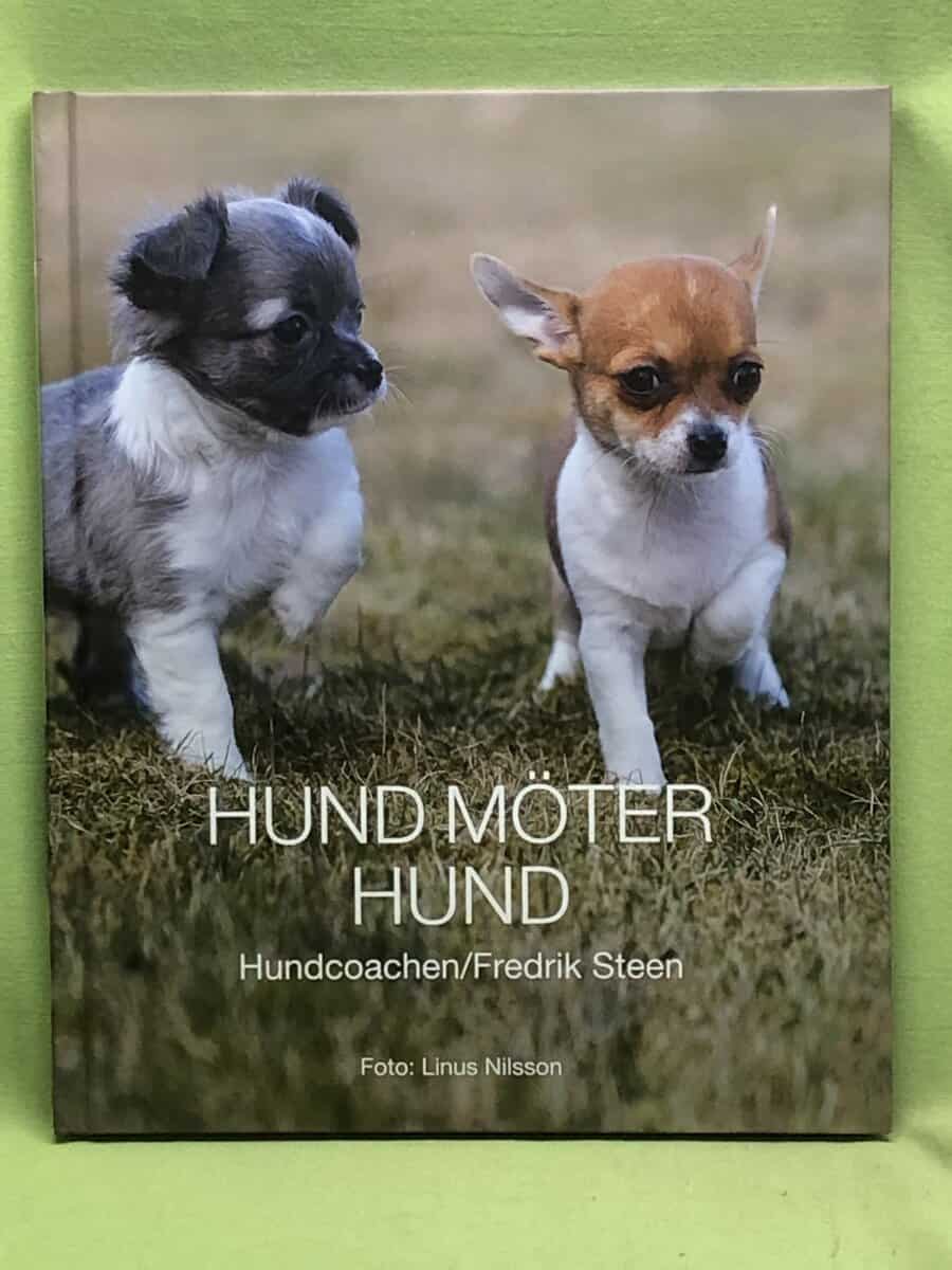 Fredrik Steen : Hund möter hund