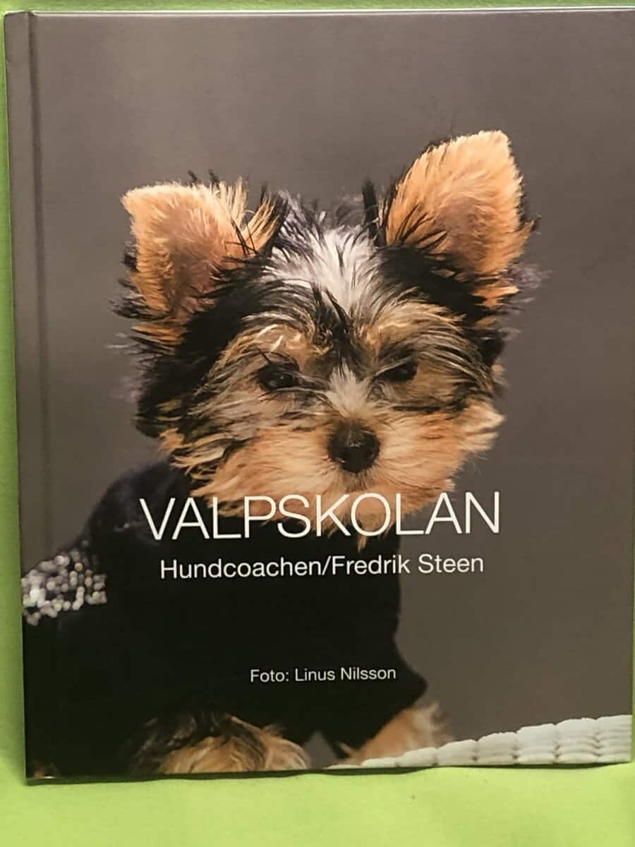 Fredrik Steen : Valpskolan