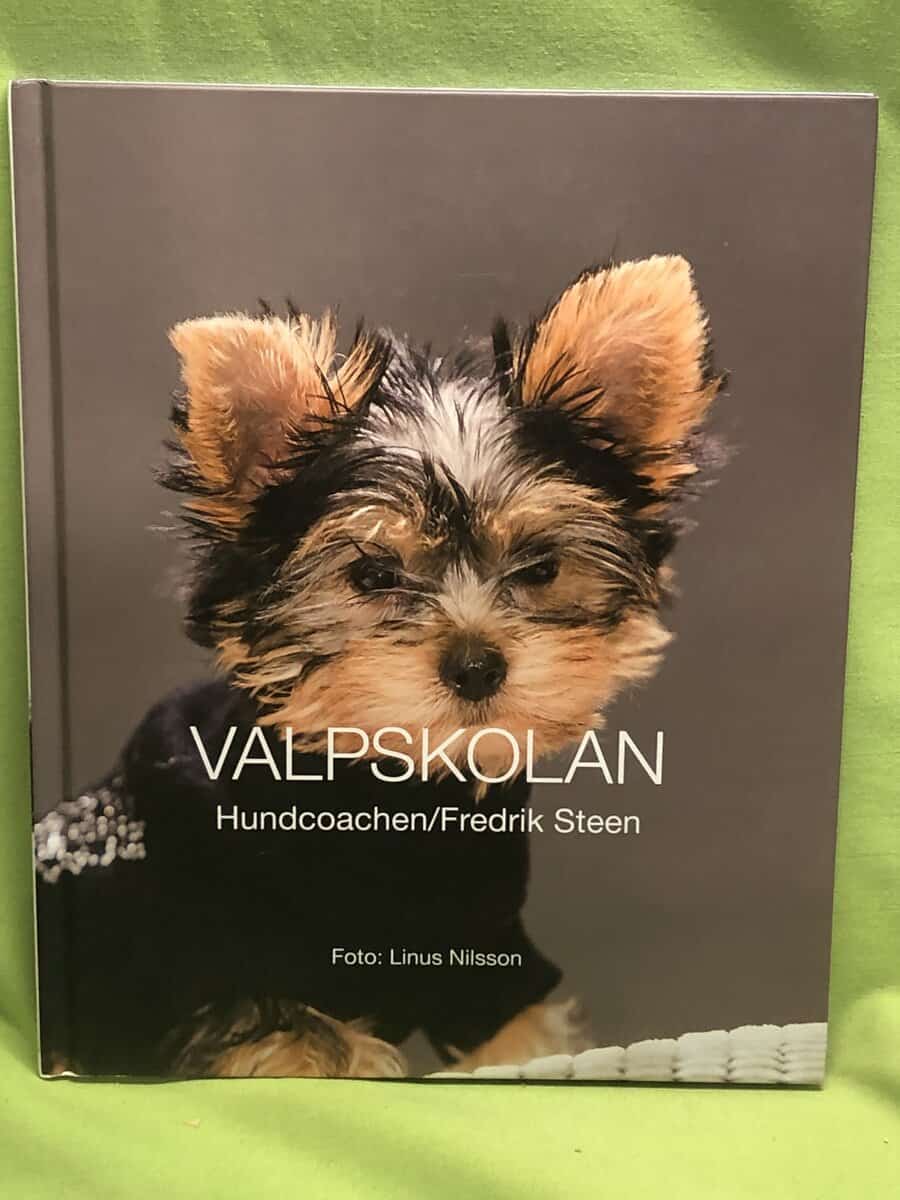 Fredrik Steen : Valpskolan