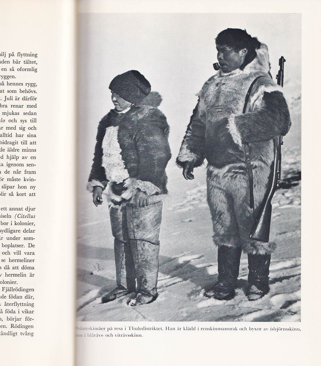Freuchen, Peter (1886-1957) ; Salomonsen, Finn (1909-1960) : Året runt i Arktis