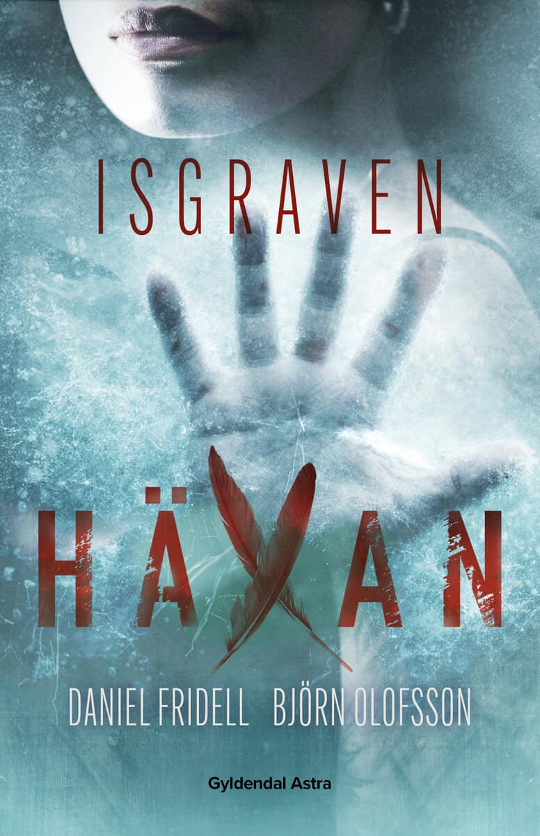 Fridell, Daniel ; Olofsson, Björn : Isgraven