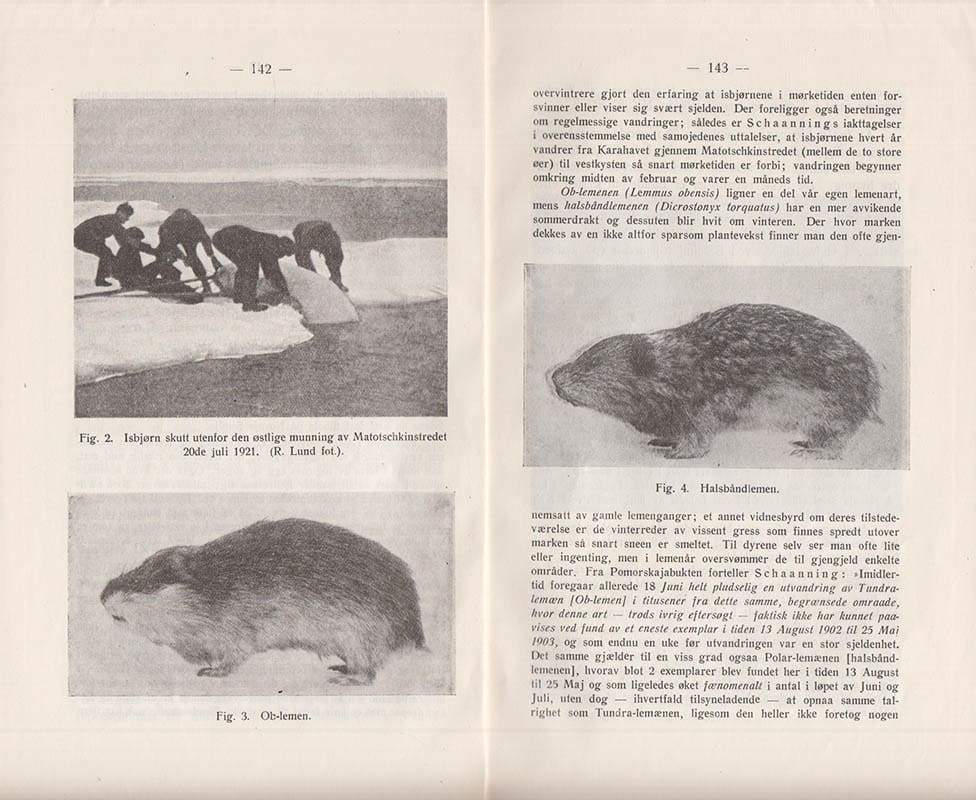 Fridthjof Økland : Novaja-Semljas land- og ferskvannsfauna