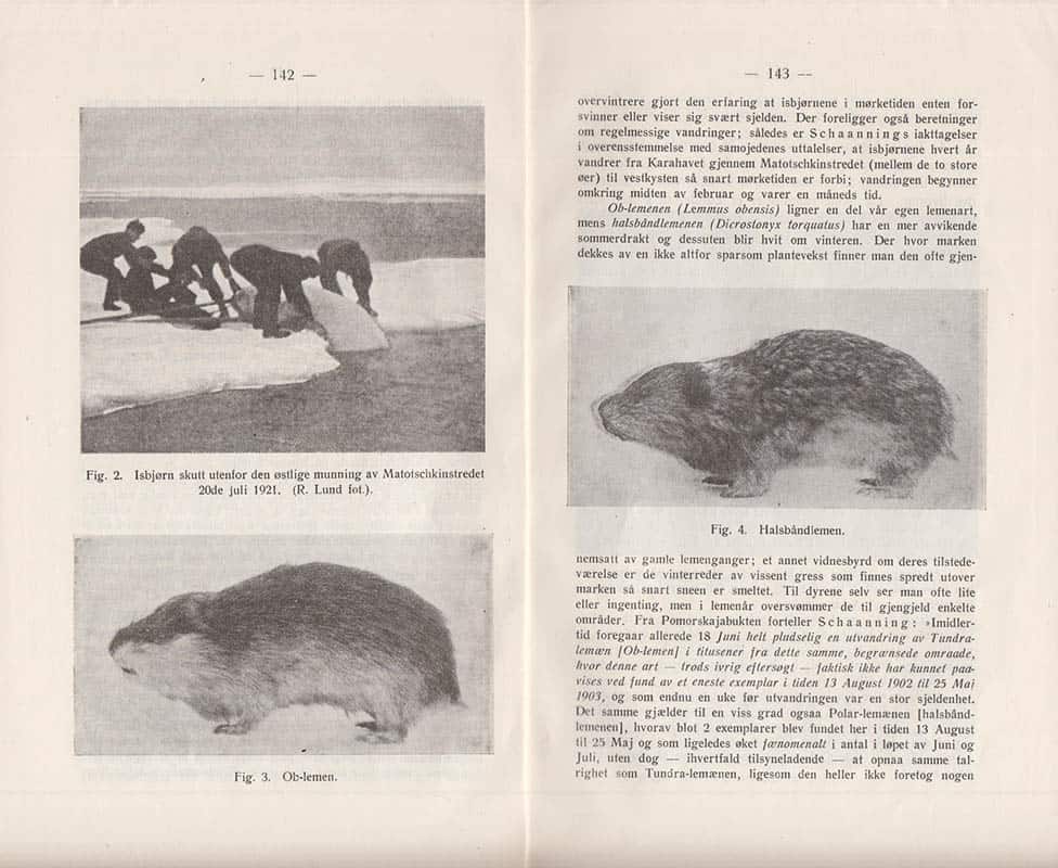 Fridthjof Økland : Novaja-Semljas land- og ferskvannsfauna