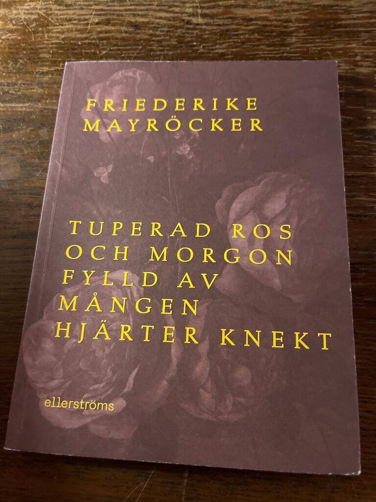 Friederike Mayröcker : Tuperad ros och morgon fylld av mången hjärter knekt
