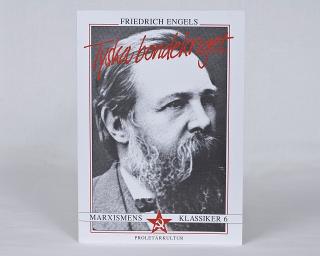 Friedrich Engels : Tyska bondekriget