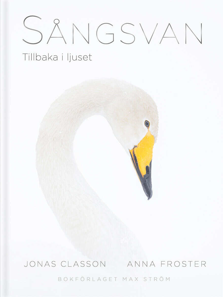 Froster, Anna ; Classon, Jonas : Sångsvan