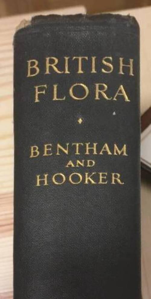 G Bentham ; J D Hooker : Handbook of the Brish Flora. A description of the flowering plants and ferns
