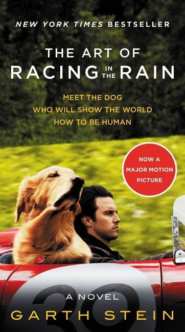 Garth Stein : The Art of Racing in the Rain MTI