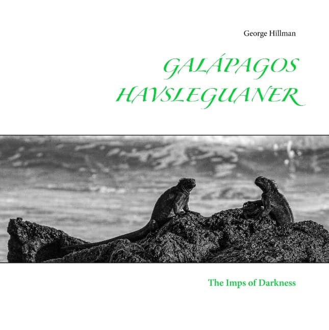 George Hillman : Galápagos havsleguaner : the 'imps of darkness'
