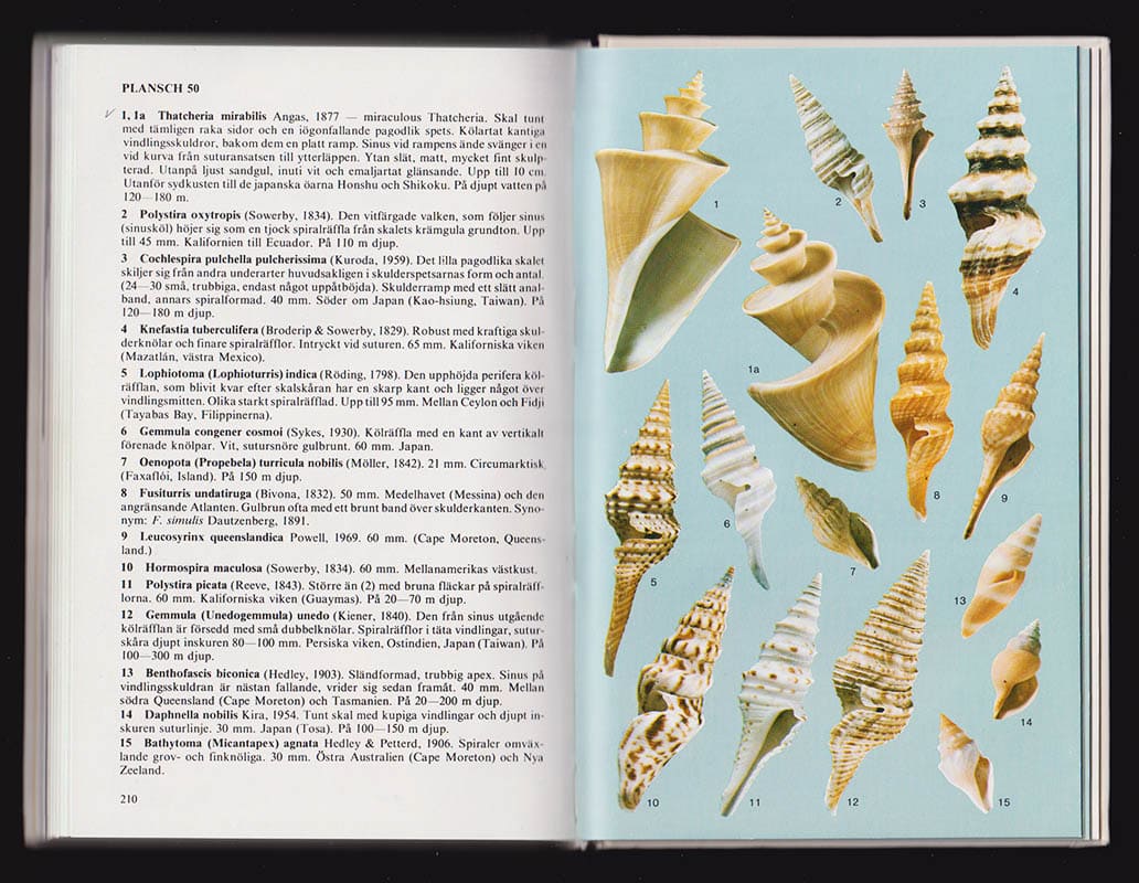 Gert Lindner : Snäckor och musslor i världshaven