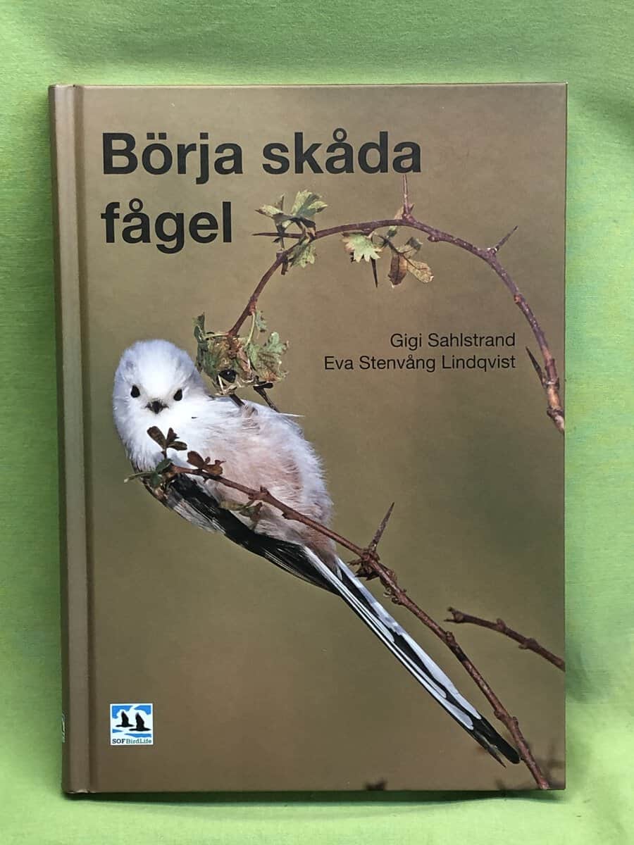Gigi Sahlstrand ; Eva Stenvång Lindqvist : Börja skåda fågel