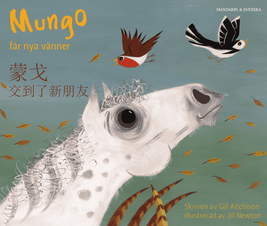 Gill Aitchison : Mungo får nya vänner (kinesiska - mandarin och svenska)