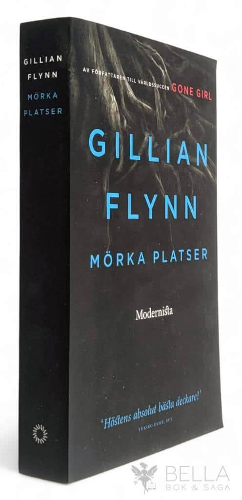 Gillian Flynn : Mörka platser