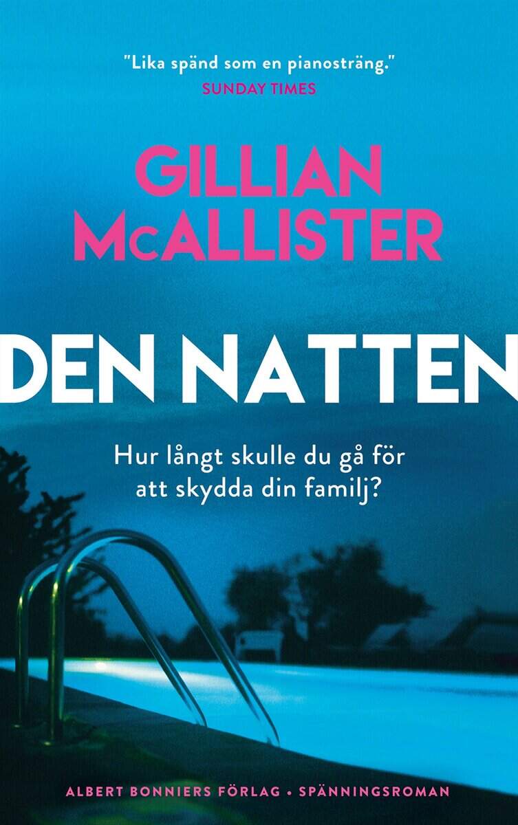 Gillian McAllister : Den natten