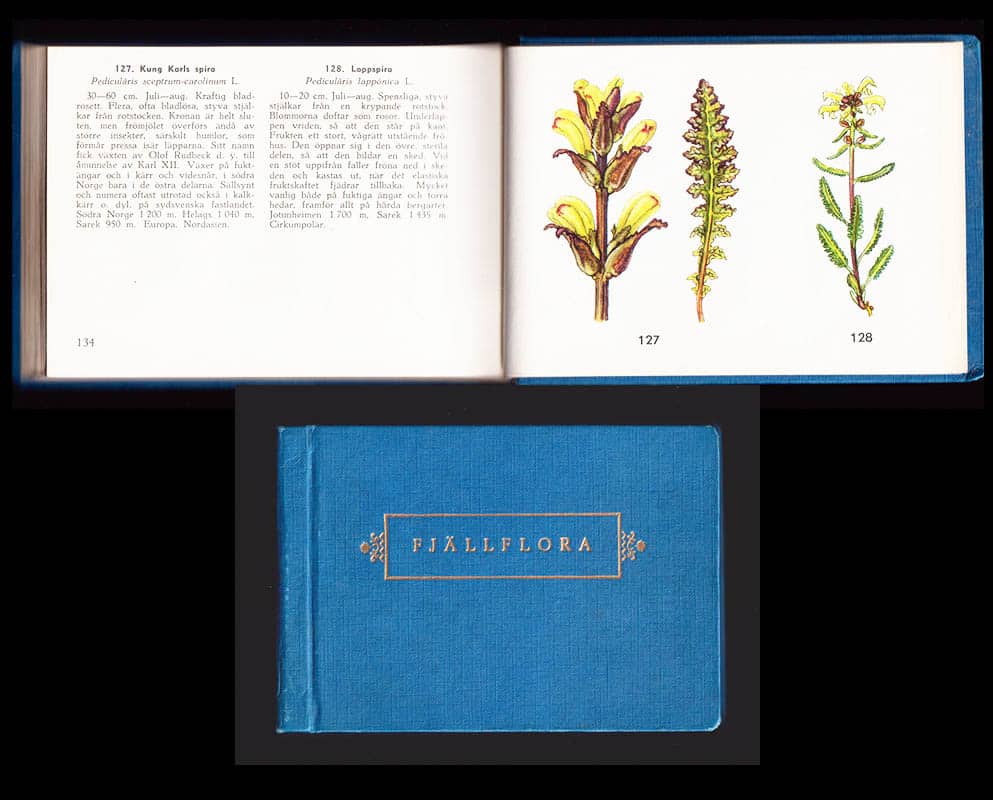 Gjaerevoll, Olav ; Jørgensen, Reidar : Fjällflora