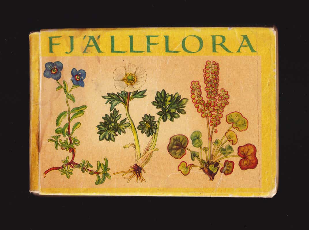 Gjaerevoll, Olav ; Jørgensen, Reidar Gudrun : Fjällflora. Färgteckningar Dagny Tande Lid