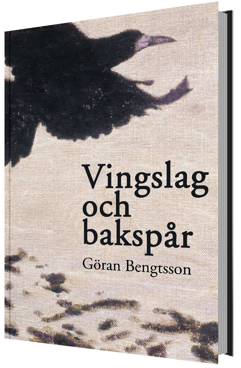 Göran Bengtsson : Vingslag och bakspår