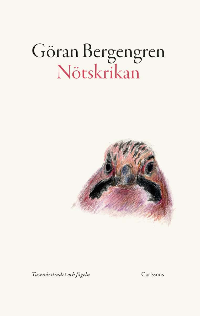 Göran Bergengren : Nötskrikan : tusenårsträdet och fågeln