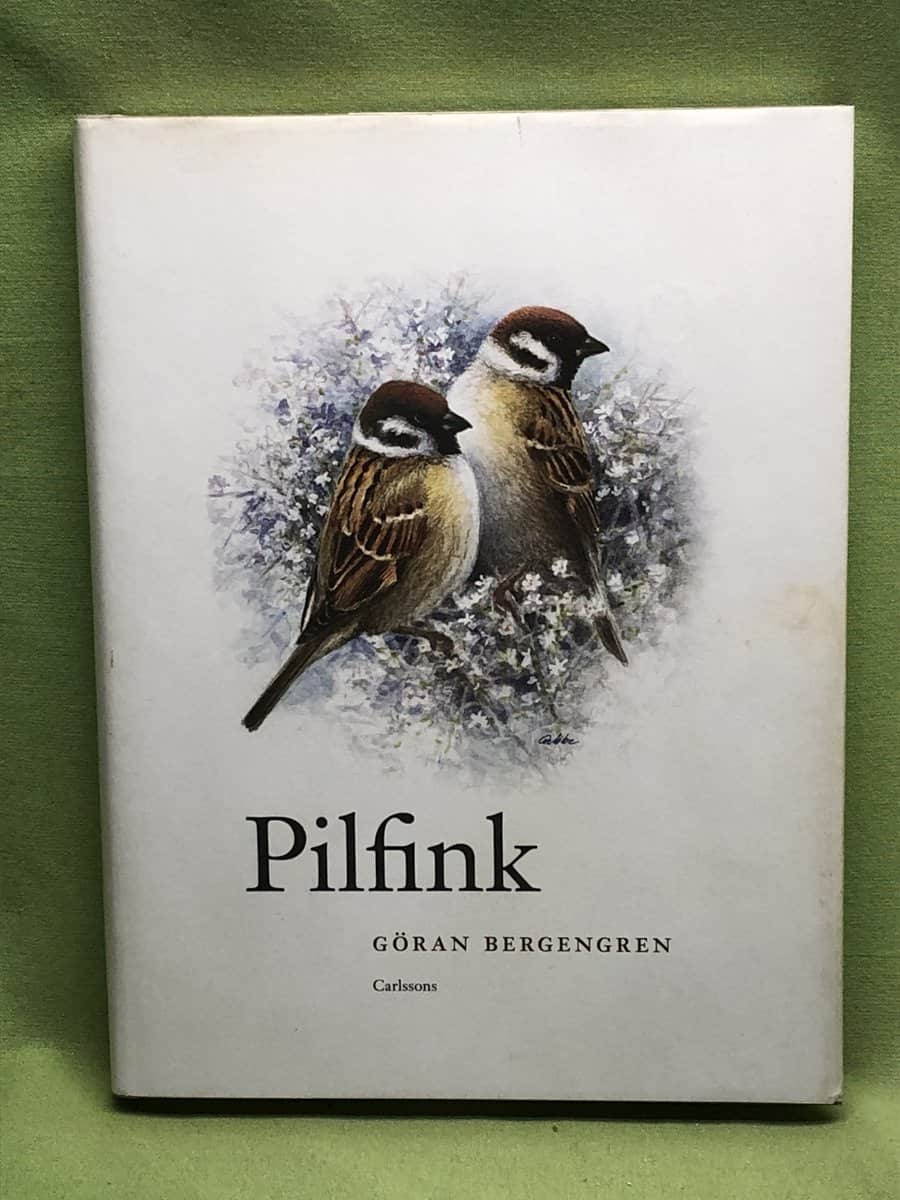 Göran Bergengren : Pilfink