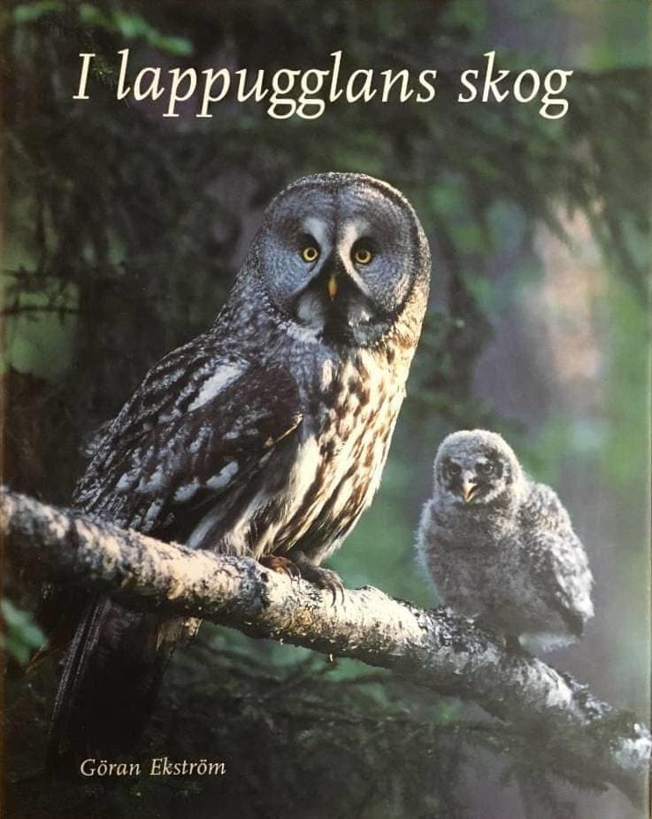 Göran Ekström : I lappugglans skog