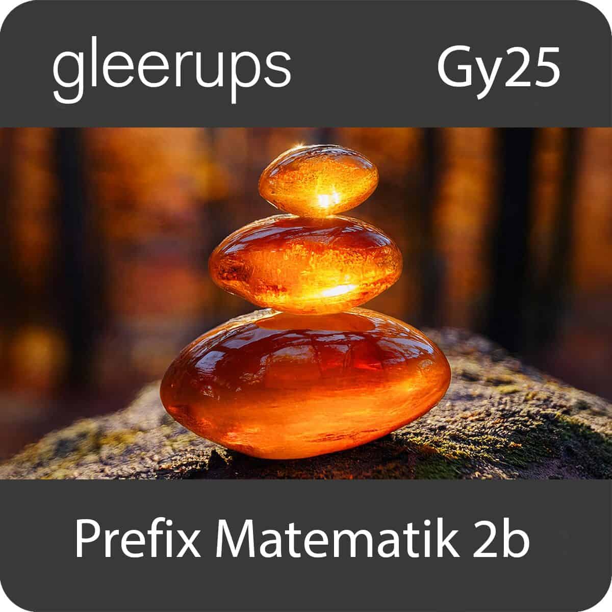 Gottfridsson, Daniel ; Nilsson, Ingela ; Berg, Maria | PREFIX MATEMATIK 2B, DIGITALT, LÄRARE, 12 MÅN, GY25