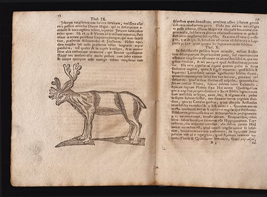 Graan, Petrus O. (Petrus Olai, 1654-1693) [respondent] ; Micrander, Julius (1640-1702) [preses] : Exercitatio academica delineationem Rangiferi breviter exhibens, quam ... præside ... Julio Micrandro ... pro gradu magisterii publicæ candidorum censuræ modeste sistit Petrus O. Graan Westrobothn. ... In auditorio Gustav. majori ad d. 29. Aprilis anno M DC LXXXV (Diss. præses M. Julio Micrandro, 1640-1702)