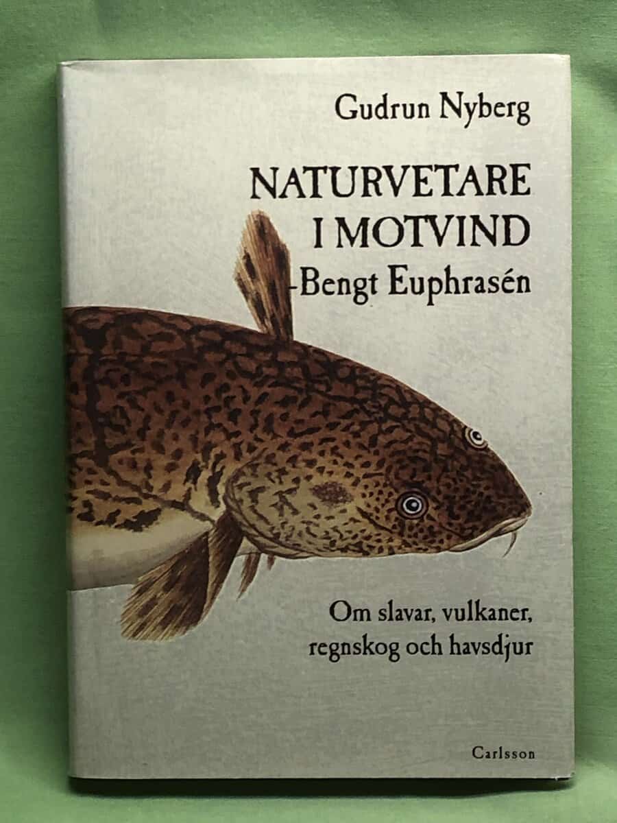 Gudrun Nyberg : Naturvetare i motvind