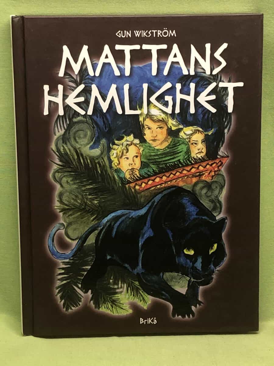 Gun Wikström : Mattans hemlighet