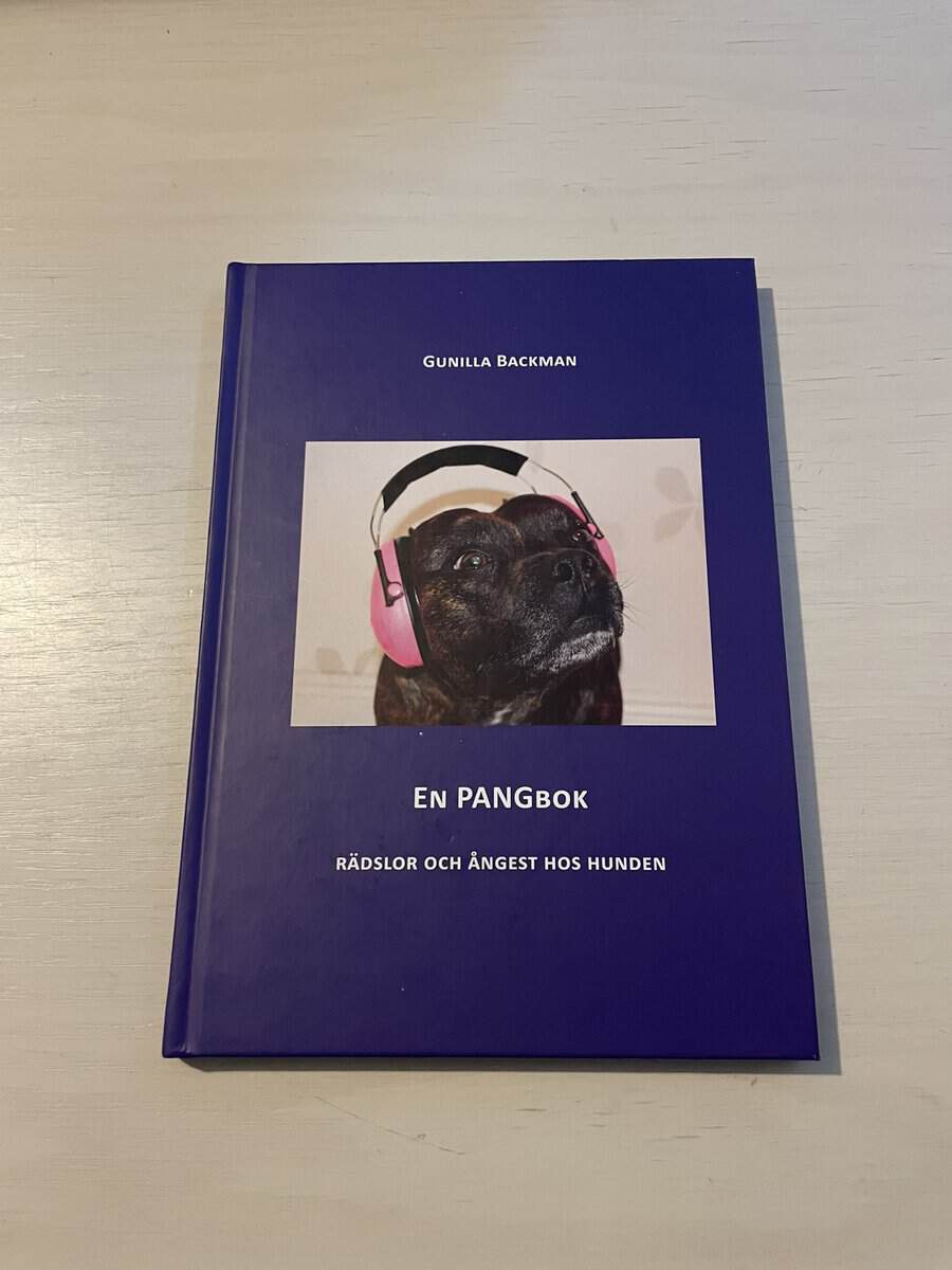 Gunilla Backman : En pangbok