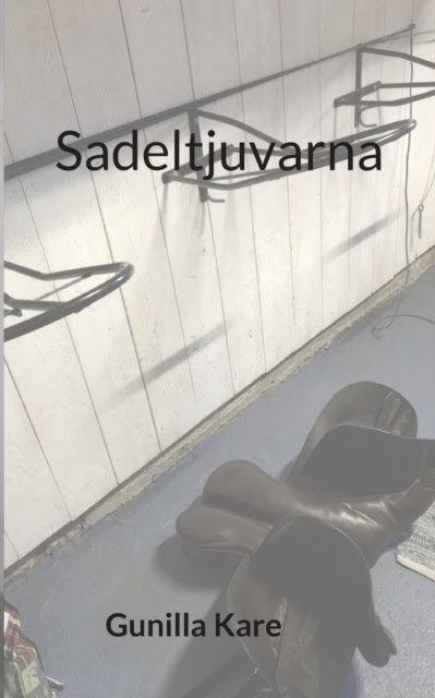 Gunilla Kare : Sadeltjuvarna