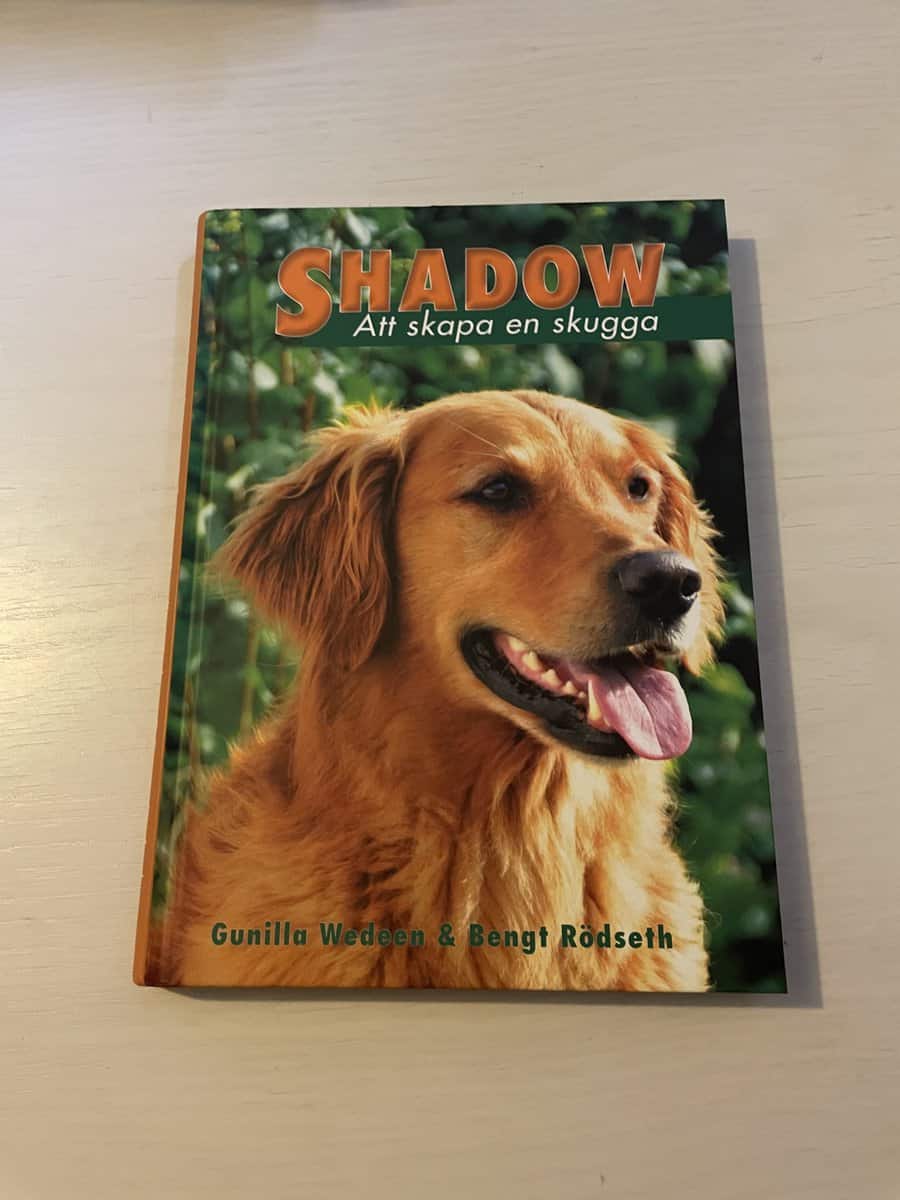 Gunilla Wedeen : Shadow att skapa en skugga