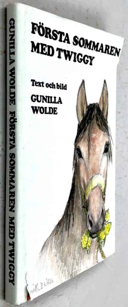 Gunilla Wolde : Första sommaren med Twiggy