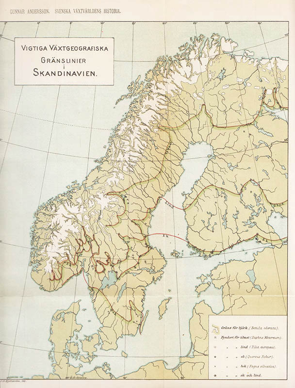 Gunnar Andersson : Svenska växtvärldens historia. I korthet framställd af Gunnar Andersson. Med 1 karta och 53 figurer i texten