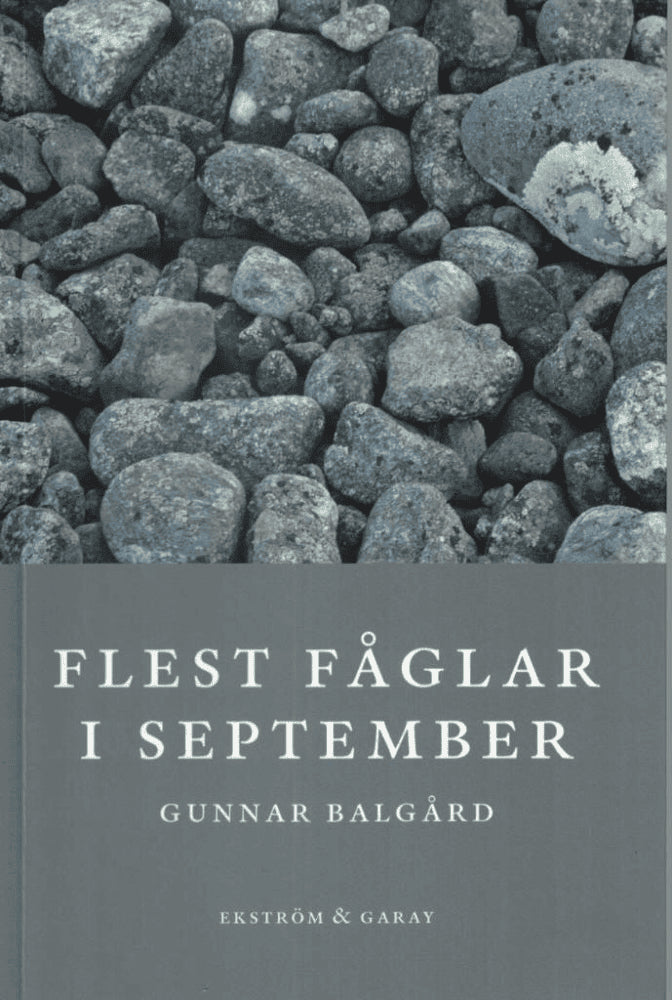 Gunnar Balgård : Flest fåglar i september