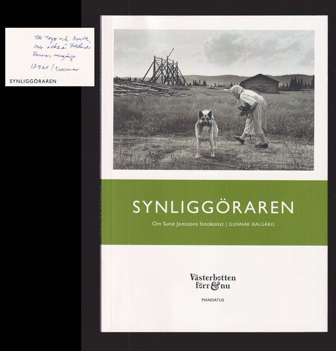 Gunnar Balgård : Synliggöraren