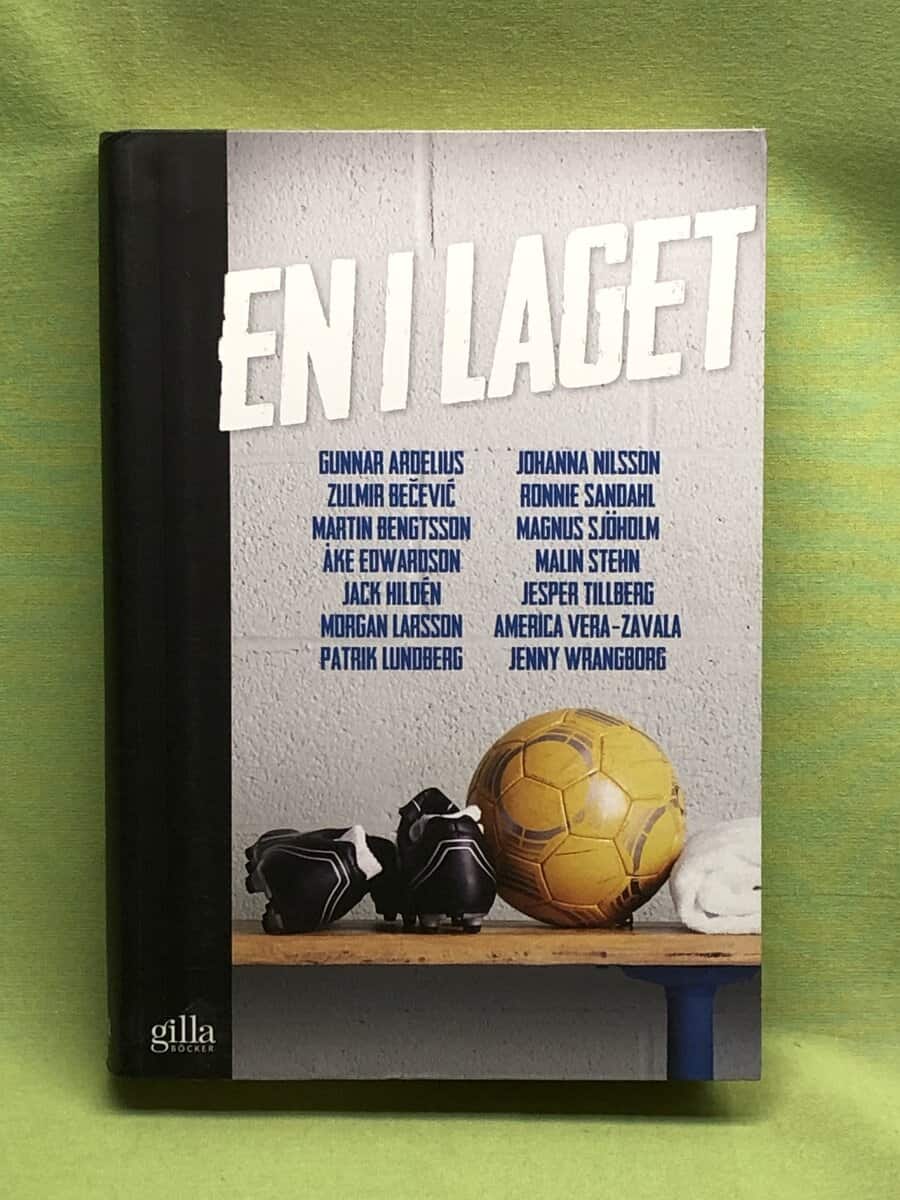 Ardelius, Gunnar, Be evi , Zulmir, Bengtsson, Martin, Edwardson, Åke, Hildén, Jack, Larsson, Morgan, Lundberg, Patrik, Nilsson, Johanna, Sandahl, Ronnie, Sjöholm, Magnus, Stehn, Malin, Tillberg, Jesper, Vera-Zavala, America, Wrangborg, Jenny : En i laget