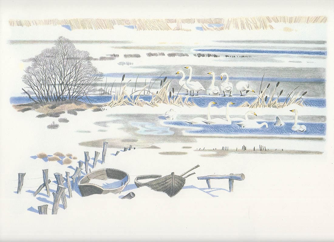 Gunnar Brusewitz : Dagbok från en sjö