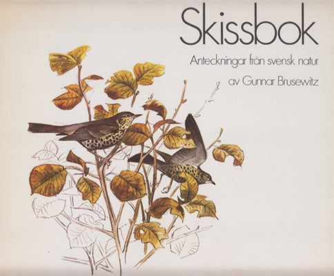 Gunnar Brusewitz : Skissbok